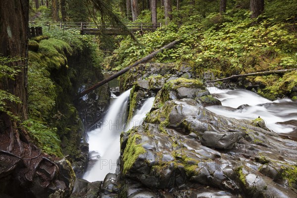 Sol Duc Falls in the Sol Duc River Valley