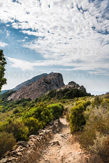 Hiking trail