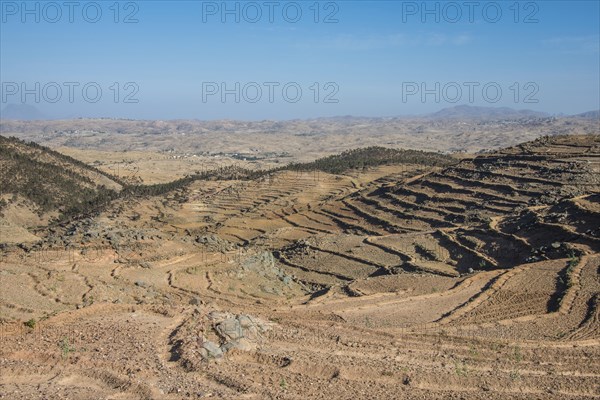 Terraced fields