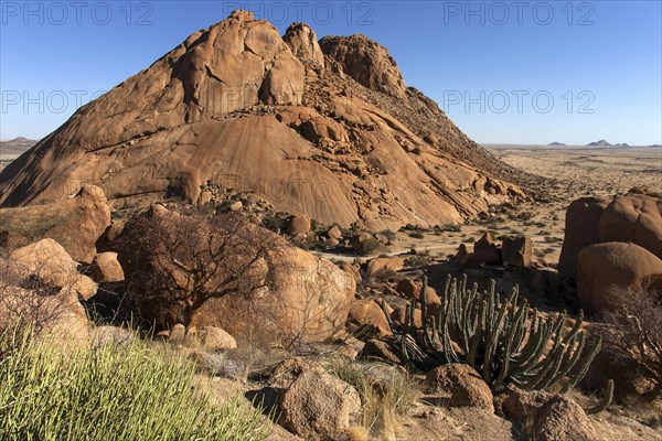 View from the Great Spitzkoppe with typical vegetation