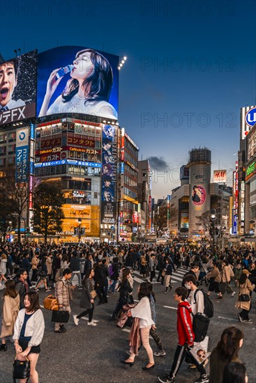 Shibuya Crossing