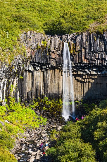 Svartifoss