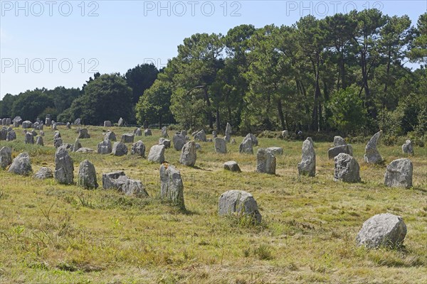 Carnac stones