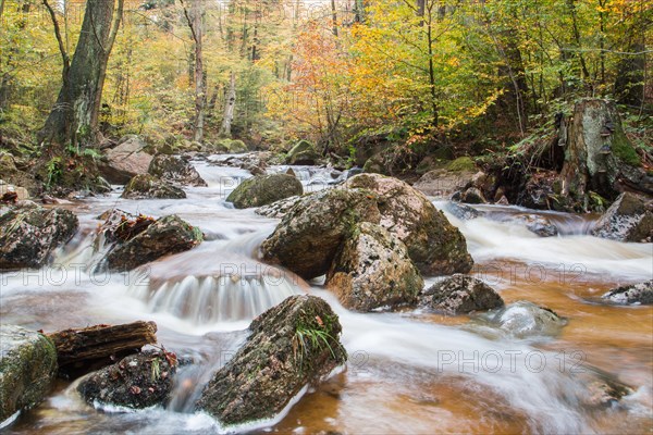 Ilsetal valley in autumn