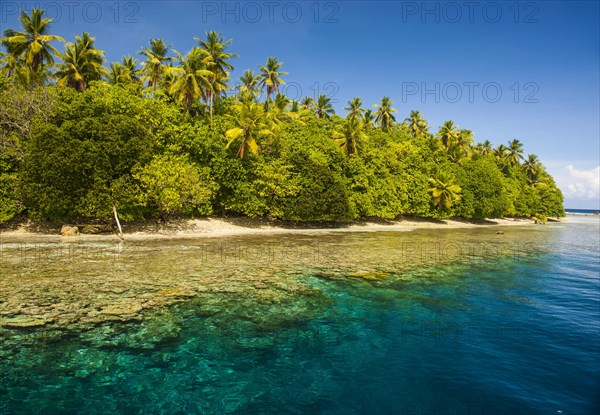 Clear water and an islet in the Ant Atoll