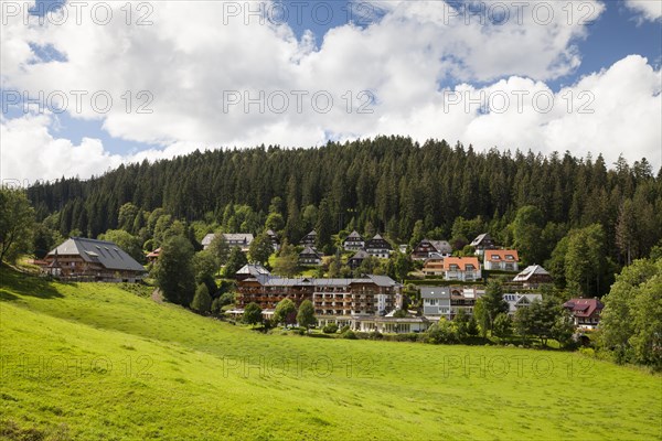 The Black Forest village of Hinterzarten