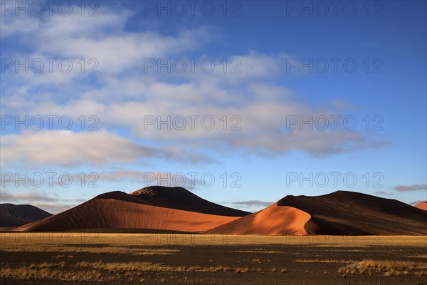 Sand dunes in Sossusvlei