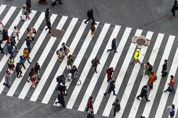 Shibuya crossing