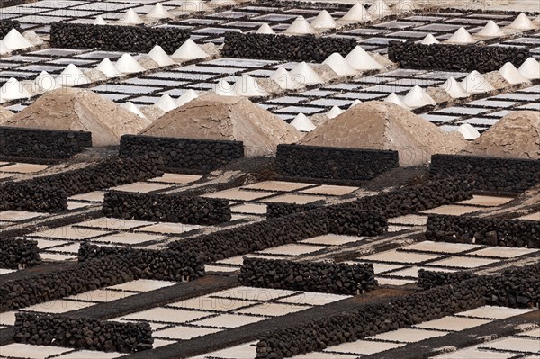 Sea salt production