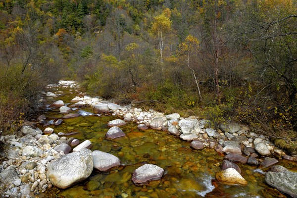 Ferruginous river in the Zhouzi Nature Reserve