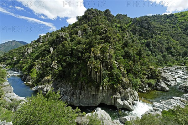 Gorge
