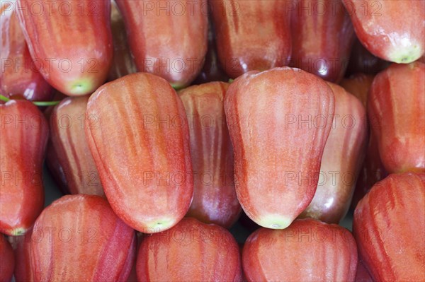 Rose apples on sale at a market