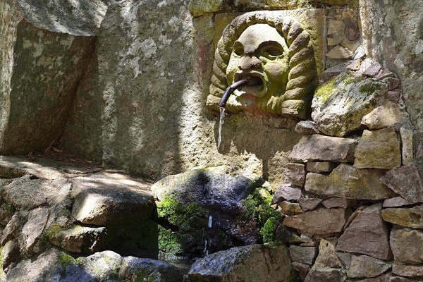 Water spouting head of a source on the Monte Ortobene