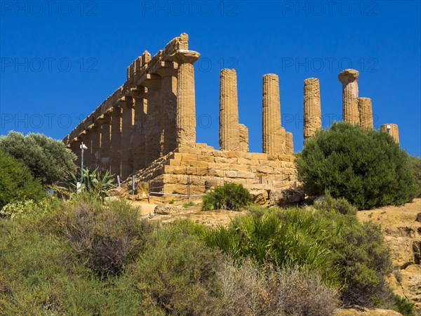 Temple of Hera or Temple of Juno