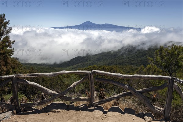 View from below the Garajonay onto Bosque del Cedro