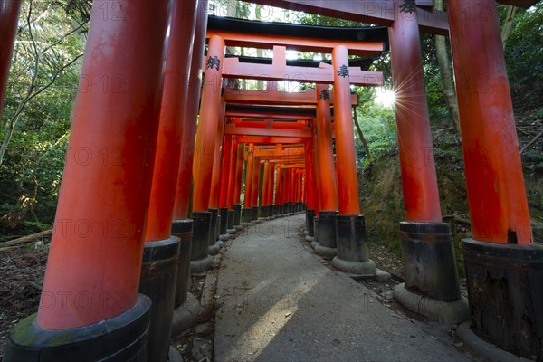 Fushimi Inari Taisha