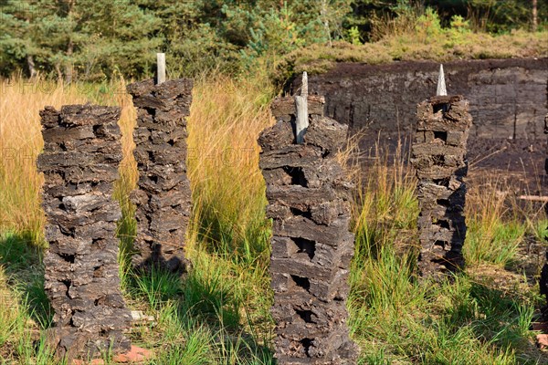 Stacks of peat sods left or drying in the traditional manner