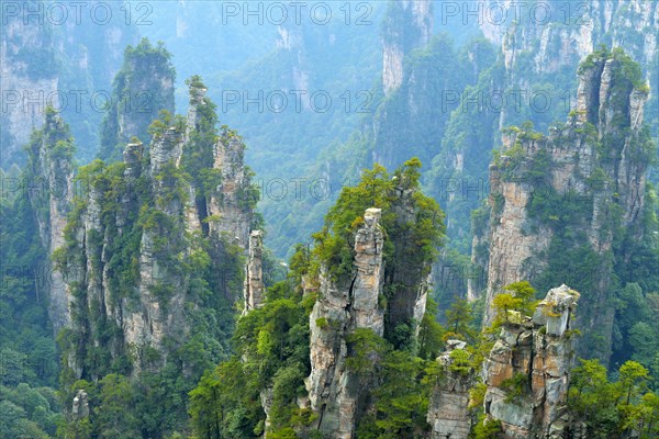 Tianzishan mountain with vertical rock columns of quartz sandstone