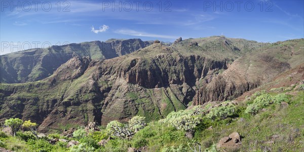 Barranco de Vera gorge