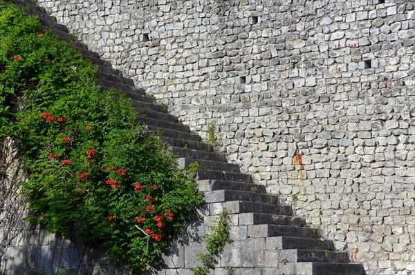 Walls of the historic Fortress of Nokalakevi