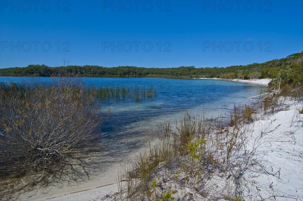 McKenzie Lake