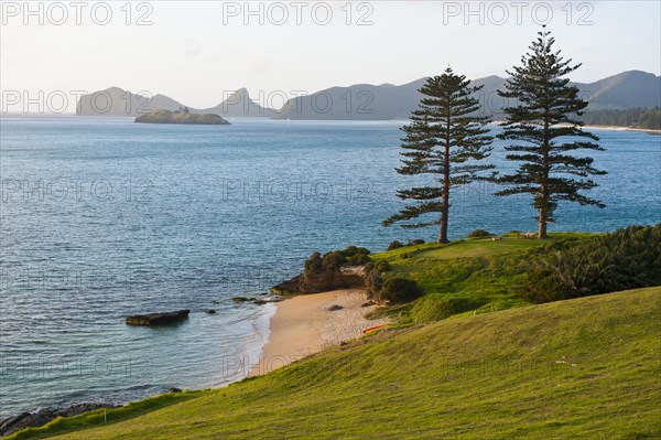 Coast of Lord Howe Island