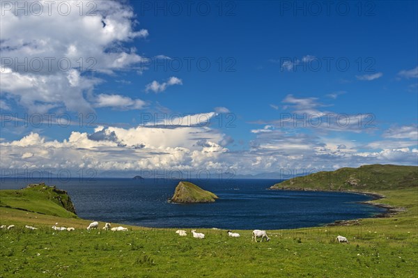 Bay on the Trotternish peninsula