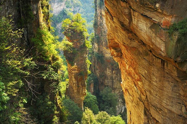 Avatar Mountains with vertical quartz-sandstone pillars