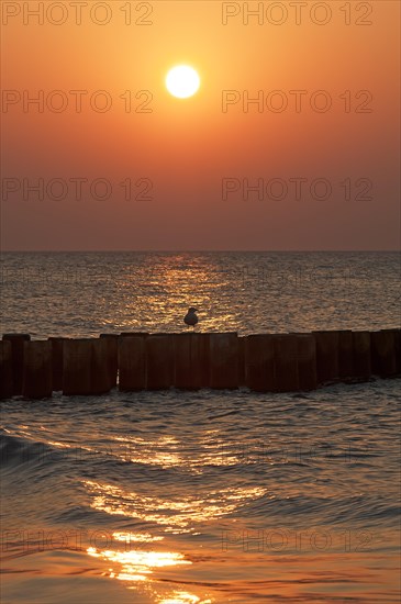 Evening sun on the Baltic Sea