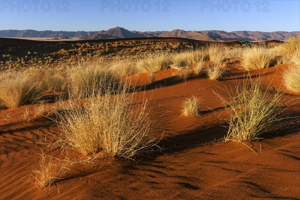 Southern foothills of the Namib desert