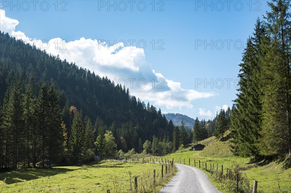 Mountain landscape with alpine cabin