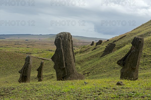 Group of Moai statues