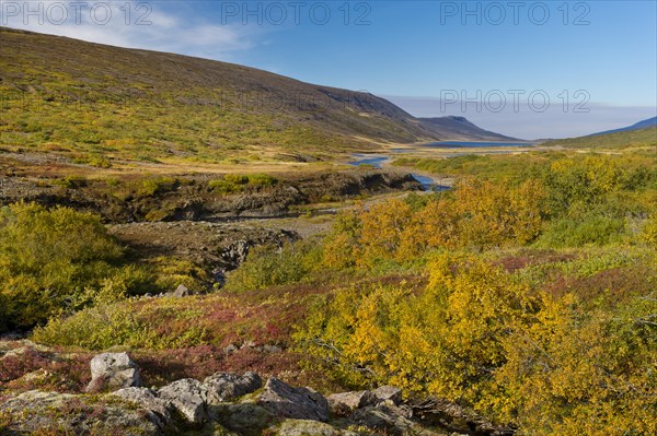 Autumnal foliage