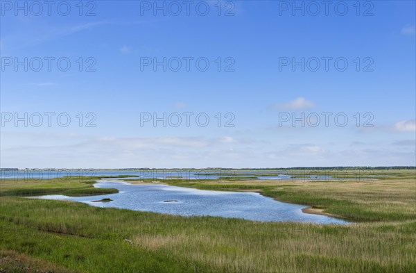 The Rantum Basin