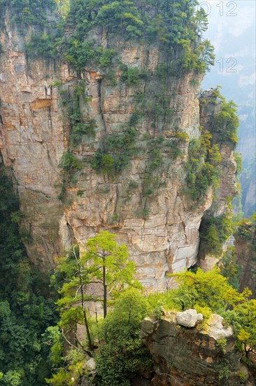 Avatar Mountains with vertical quartz-sandstone pillars