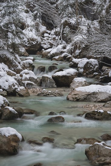 Winter in the Ramsauer Ache in the Zauberwald forest