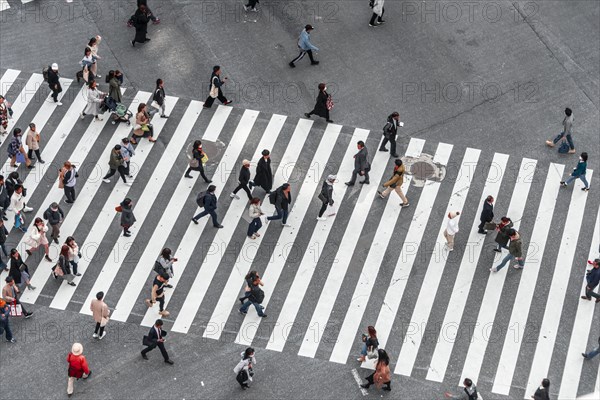 Shibuya crossing