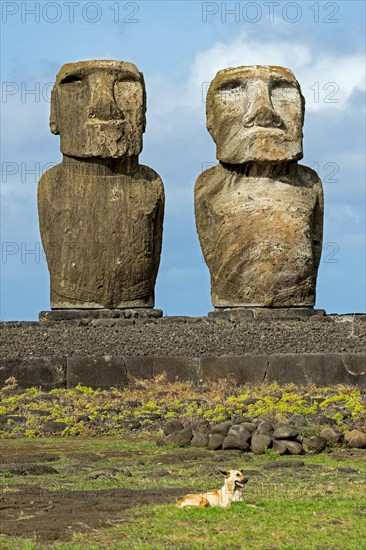 Moai