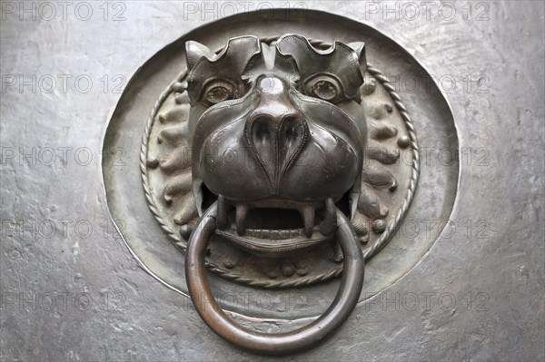 Door knocker with a lion's head