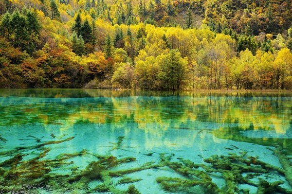 Five Flower Lake in autumnal environment