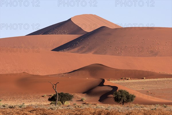 Sand dunes