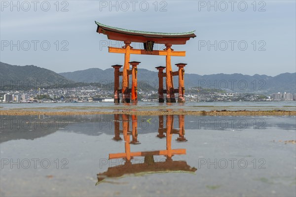 Itsukushima Floating Torii Gate in Water