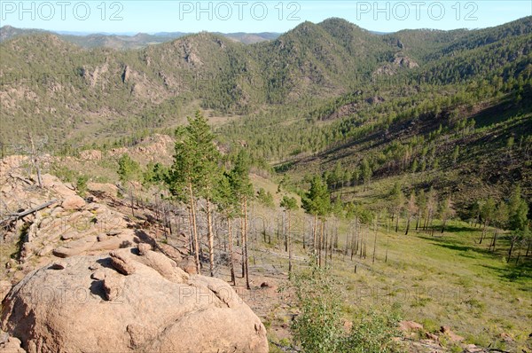 Plateau