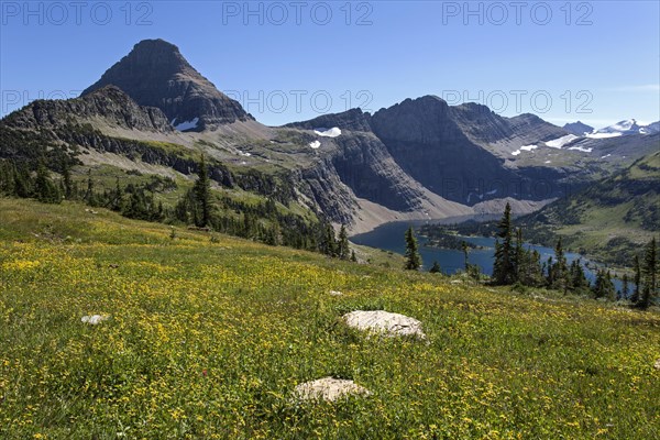 Hidden Lake with Reynolds Mountains