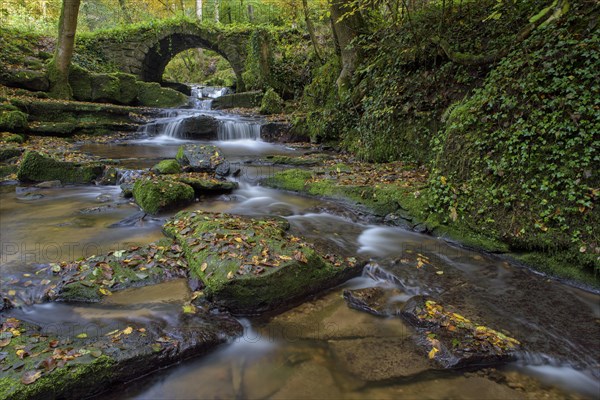 Autumn forest along a stream in the Swabian Forest with an old stone arch bridge