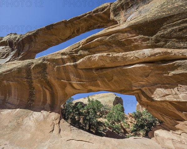 Double O Arch