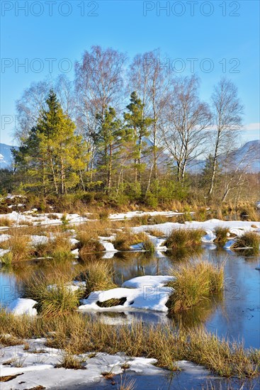 Moorlands in winter