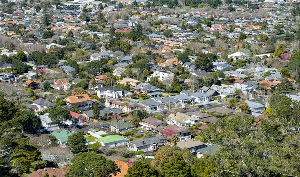 Residential houses from above