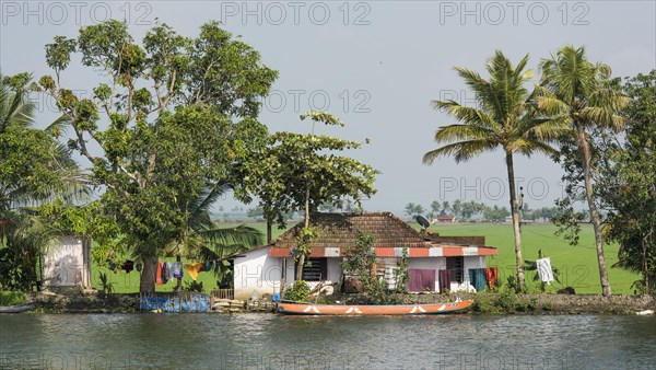 Houses and trees