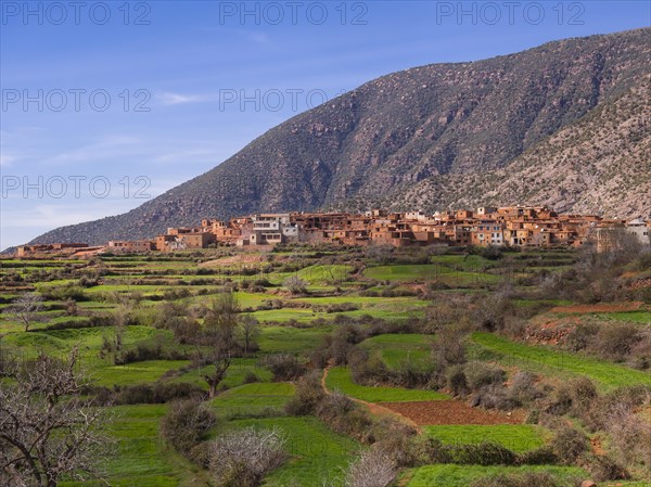 Atlas Mountains